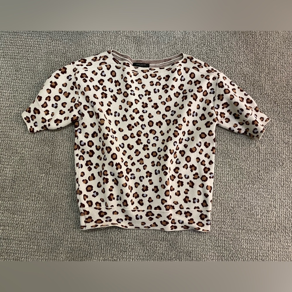 Ann Taylor short sleeve sweater